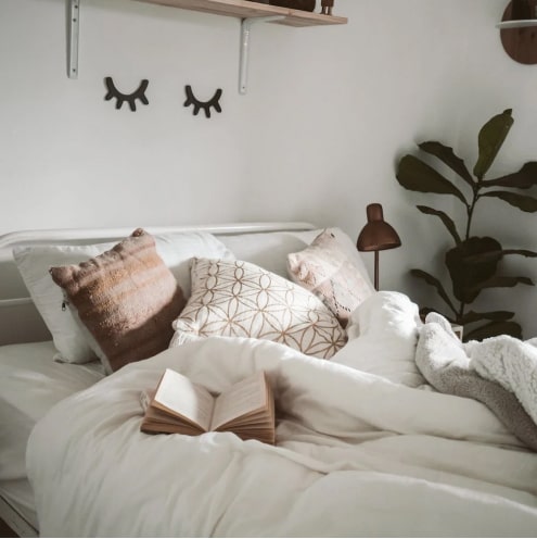 Sofa Beds: Buy a Sofa Bed Online at SofaShop.com